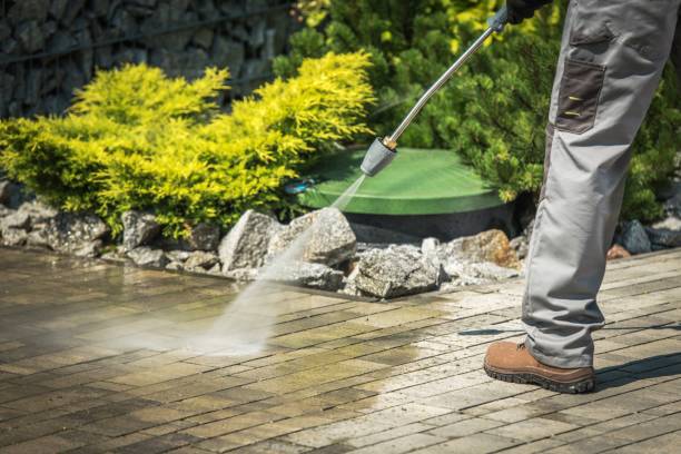 Best Animal Enclosure Cleaning  in Halfway House, PA